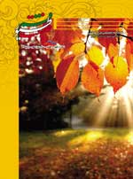 تصویر جلد شماره 47 فصلنامه صنعت طیور قم