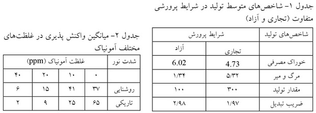 مفاهیم رفاه و راهکارهایی برای افزایش تولید