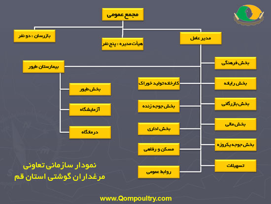 نمودار تشکیلاتی تعاوني مرغداران گوشتي استان قم