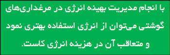 با انجام مدیریت بهینه انرژی در مرغداری های گوشتی می توان از انرژی استفاده بهتری نمود و متعاقب آن در هزینه انرژی کاست.