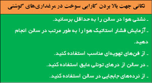 نکاتی جهت کاستن میزان مصرف برق در مرغداری های گوشتی